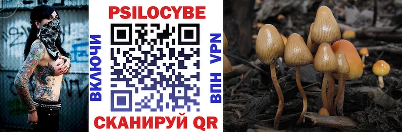 Псилоцибиновые грибы Magic Shrooms  Отрадный 