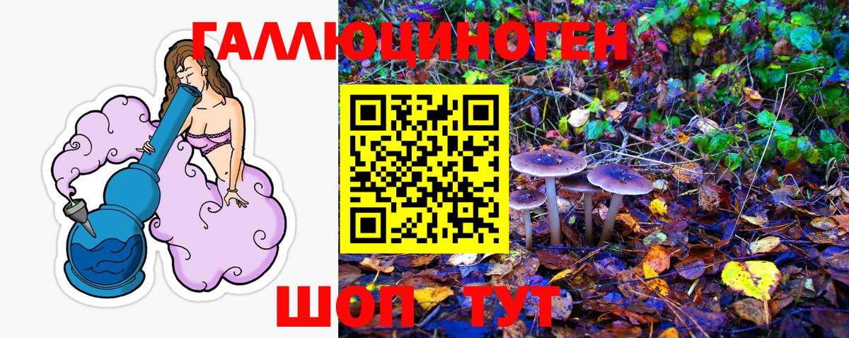 Отрадный  как найти закладки  Вход с VPN  Псилоцибиновые грибы MAGIC MUSHROOMS 